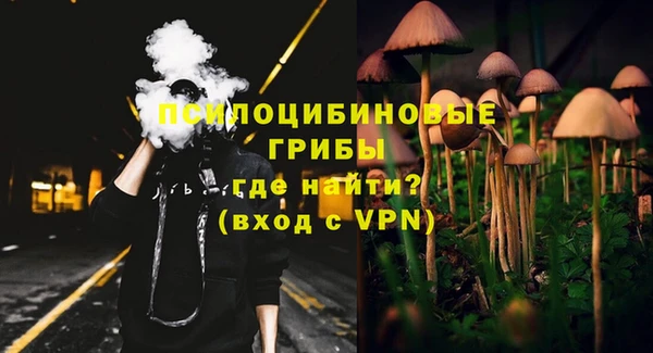 МДПВ Алзамай
